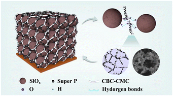 Graphical abstract: Interfacial regulation for constructing a robust grapevine-like conductive network within a silicon-based anode for high-performance lithium-ion batteries