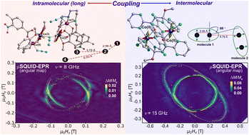 Graphical abstract: From strong to weak interaction: reconciling SQUID and μSQUID-EPR data in anomalous Co(ii) dimers
