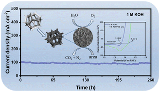 Graphical abstract: Synergistic metal–nonmetal co-doping in Ni3S2 for enhanced bifunctional water–urea electrolysis