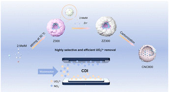 Graphical abstract: Ion-selective capacitive deionization enabled by codoped core–shell carbon architectures for efficient uranium recovery