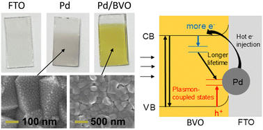 Graphical abstract: Plasmonic Pd nanoparticles at the electrode-semiconductor interface enhance the activity of bismuth vanadate for solar-driven glycerol oxidation