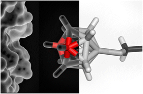 Graphical abstract: Fat or flat? The impact of dipole moment vectors on non-covalent interactions between aromatic tags and macromolecules