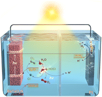 Graphical abstract: Sustainable solar seawater splitting over a BaTaO2N photoanode enabled by chloride recirculation