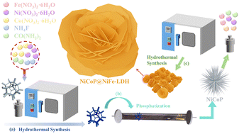 Graphical abstract: In situ reconstructed amorphous MOOH-enhanced NiCoP@NiFe-LDH bifunctional electrocatalyst for long durable seawater electrolysis