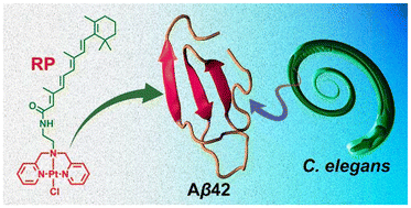 Graphical abstract: Mitigation of Aβ neurotoxicity in Alzheimer's disease using a non-toxic platinum complex derived from retinamide