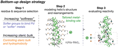 Graphical abstract: Computational design of helical artificial metallopeptides: from sequence to activity in Pd-peptide systems