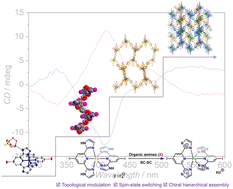 Graphical abstract: Spin state modulation and chiral hierarchical assembly via amine-driven single-crystal-to-single-crystal transformation