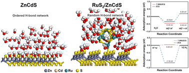 Graphical abstract: Enhancing the efficiency of the photocatalytic hydrogen evolution half-reaction via disruption of the rigid H-bond network at the RuS2/ZnCdS interface