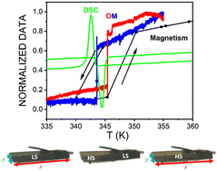 Graphical abstract: Unprecedented direct spatiotemporal imaging of a reversible interface propagation in a switchable cooperative Fe(iii) spin crossover material
