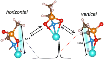 Graphical abstract: Phosphorus chirality assignment and solution dynamics of lanthanide(iii) complexes of a monomethylphosphinate analogue of H4dota: a multinuclear NMR and DFT study