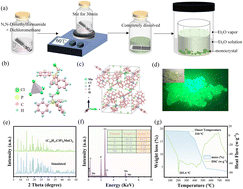 Graphical abstract: High-performance organic–inorganic hybrid manganese halide scintillator array for superior-resolution X-ray imaging