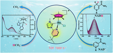 Graphical abstract: Aqueous-phase NADH regeneration using Rh(N-heterocyclic carbene) catalyst with enhanced hydride kinetics