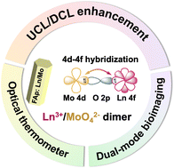 Graphical abstract: Universal upconversion amplification via 4d–4f hybridization in Ln3+/MoO42− co-doped fluorapatite: mechanism and applications