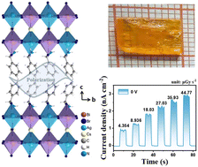 Graphical abstract: An eco-friendly self-powered X-ray detector based on a multi-layered double perovskite ferroelectric