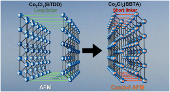 Graphical abstract: Tunable collinear-to-canted antiferromagnetic transition in Co(ii)-based MOFs through structural control of linker length