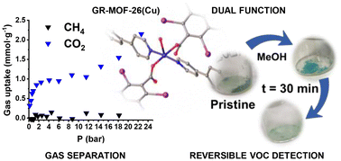 Graphical abstract: A robust and flexible Cu-based metal–organic framework for gas separation and volatile organic compounds detection