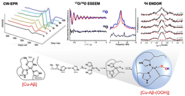 Graphical abstract: Identification of Cu–OOH during the Cu–Aβ reaction with oxygen: mechanistic insights into amyloid β peptide fibrillization in Alzheimer's disease