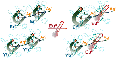 Graphical abstract: Eu(iii) dilution of Er(iii) and Yb(iii) molecular nanomagnets as a route to improving their magnetic features and creating a link with optical thermometry