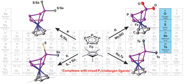 Graphical abstract: Anionic chalcogen functionalised pentaphosphaferrocene complexes