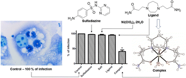 Graphical abstract: A new water-soluble Ni(ii) complex as a prototype of metallodrugs to treat toxoplasmosis
