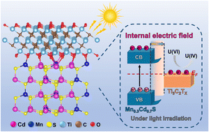Graphical abstract: Internal electric field at the Schottky junctions in an MXene–MnCdS heterostructure for complete uranium remediation