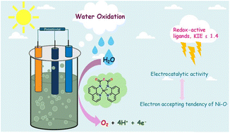 Graphical abstract: Water oxidation by Ni(ii) amido-quinoline complexes