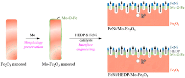 Graphical abstract: Mild synthesis and interfacial engineering for high-performance Mo-Fe2O3 photoanodes in low-bias water splitting