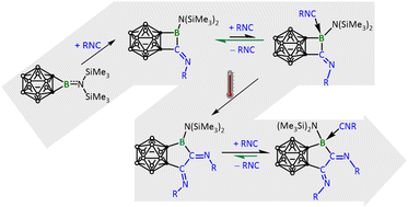 Graphical abstract: Isocyanide insertion reaction of a carborane-fused borirane and isocyanide affinity of the ring expansion products