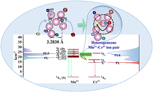 Graphical abstract: Ultra-efficient energy transfer and near-infrared luminescence in hexagonal aluminate phosphors enabled by heterogeneous ion pair co-doping