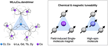 Graphical abstract: Chemical and magnetic tuneability in structurally defined hetero-trimetallic dendrimers