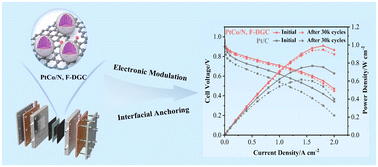 Graphical abstract: Synergistic modulation of electronic structure in PtCo intermetallic electrocatalysts via N,F-co-doped graphene for robust oxygen reduction reaction