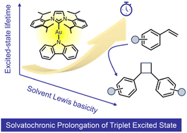 Graphical abstract: Solvatochrony: solvatochronic photocatalysts and their applications in intermolecular [2 + 2] cycloaddition reactions of unactivated styrenes