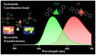 Graphical abstract: Reversible red-green photoluminescence transformation induced by dynamic coordination bonds in a phase-transition hybrid crystal