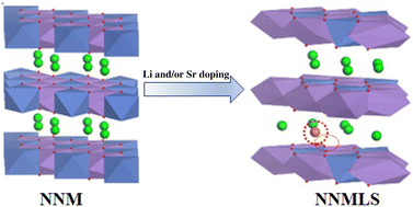 Graphical abstract: Unveiling Li and Sr-induced reinforced transition metal–oxygen interactions in P2-type layered oxide cathodes for highly stable sodium-ion batteries