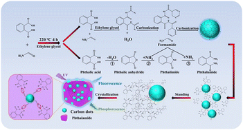 Graphical abstract: Mechanism of in situ confining carbon dots in phthalamide crystal for room-temperature phosphorescence