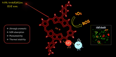 Graphical abstract: Photostable rubyrins bearing pentafluorophenyl pendants for enhanced reactive oxygen species generation using an 808 nm laser