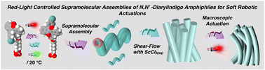 Graphical abstract: Red-light controlled supramolecular assemblies of N,N′-diarylindigo amphiphiles for soft robotic actuations