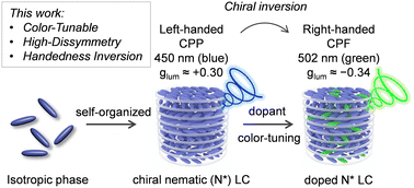 Graphical abstract: Color-tunable, high-dissymmetry circularly polarized phosphorescence in chiral nematic phases: self-assembly, energy transfer, and handedness inversion