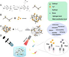 Graphical abstract: Self-healing photothermal antibacterial hydrogels constructed through multiple dynamic chemical bonds