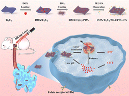 Graphical abstract: Enhanced therapeutic efficacy of folic acid-decorated Ti3C2 MXenes in targeted combination therapy for liver cancer