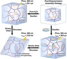 Graphical abstract: Constructing highly efficient dual-confinement phosphorescence supramolecular naphthalimide pyridinium networks via eco-friendly post-polymerization assembly