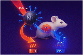 Graphical abstract: Ni-doped carbon dots unlock dual NIR-II photothermal and photodynamic cancer therapy