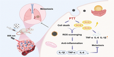 Graphical abstract: Iridium nanoparticles with anti-inflammatory activity for improved tumor photothermal therapy