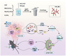 Graphical abstract: Sono-catalytic nanorod-adjuvanted in situ cancer vaccines augment antitumor T cell immunity through potentiated immunomodulation