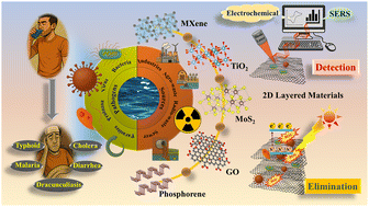 Graphical abstract: From lab to tap: 2D material innovations in detection and elimination of waterborne pathogens