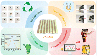Graphical abstract: Photoresponsive multifunctional anisotropic conductive hydrogel membrane for human motion detection, information encryption and transmission