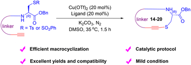 Graphical abstract: Cu-catalyzed alkynylation of thiosulfonate-based peptide: an efficient approach to S-alkynyl-containing cyclic peptides