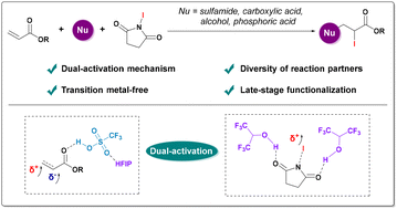 Graphical abstract: Dual-activation-driven iodofunctionalization of electron-deficient alkenes: sulfonamidation, esterification, phosphorylation, and etherification