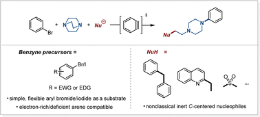 Graphical abstract: Deconstructive dicarbofunctionalization of cyclic amines enabled by C–H and C–N bond activation