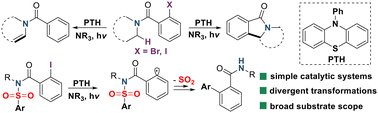 Graphical abstract: Organic photoredox catalyst induced divergent transformations of o-halogenated benzamides